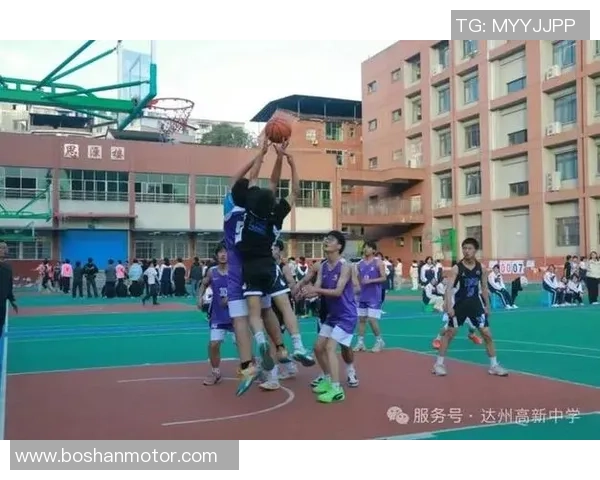 从校园到职业赛场我的篮球生涯与成长之路